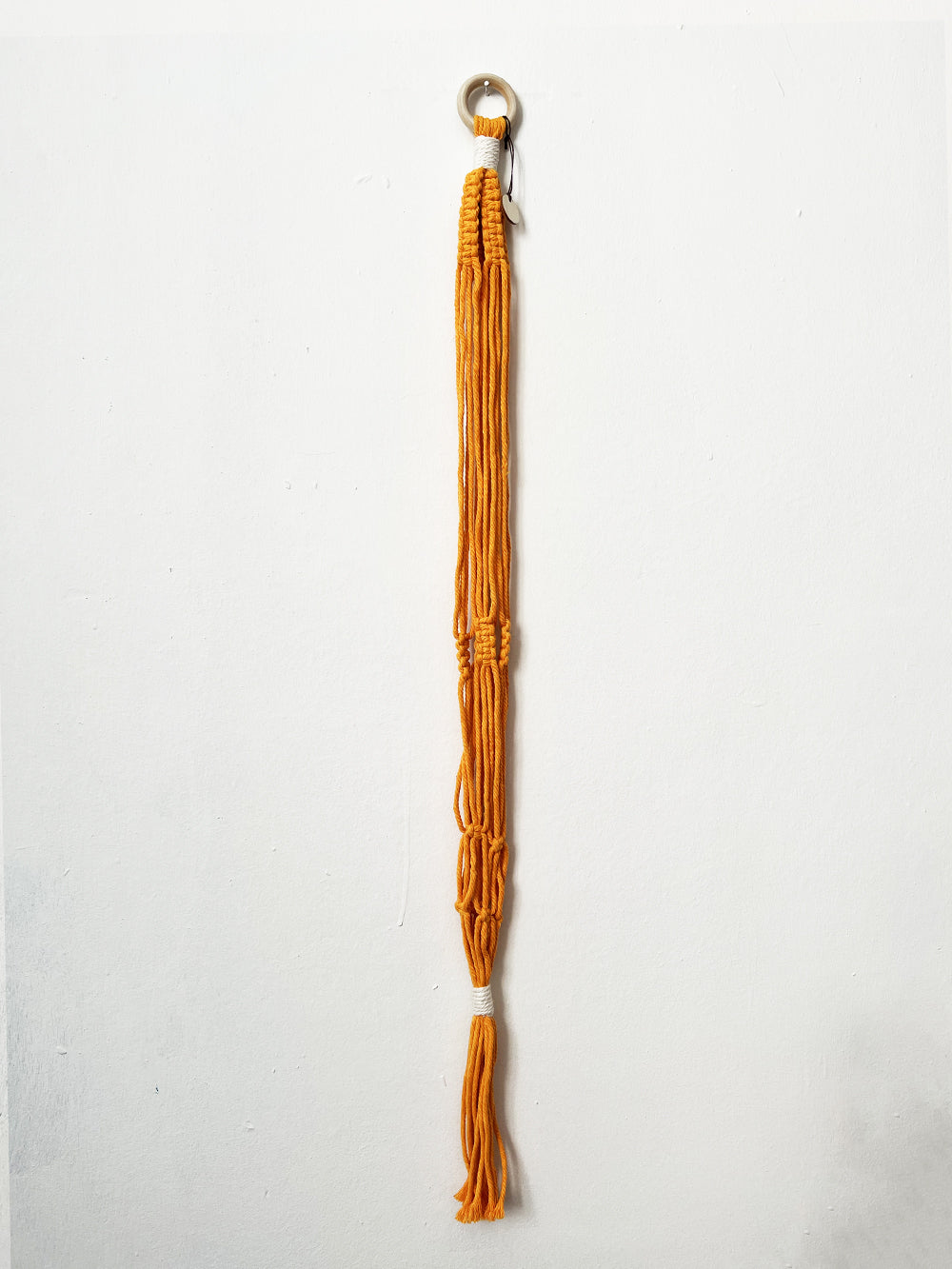 Plant Hanger Orange
